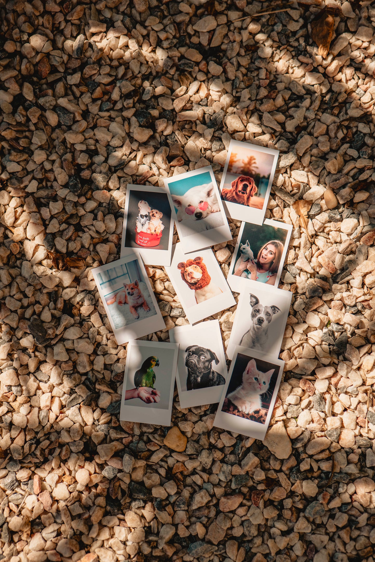 Polaroids Originais [5,5x8,5cm]